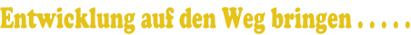Entwicklung auf den Weg bringen . . . . .