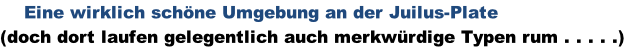 Eine wirklich schöne Umgebung an der Juilus-Plate (doch dort laufen gelegentlich auch merkwürdige Typen rum . . . . .)